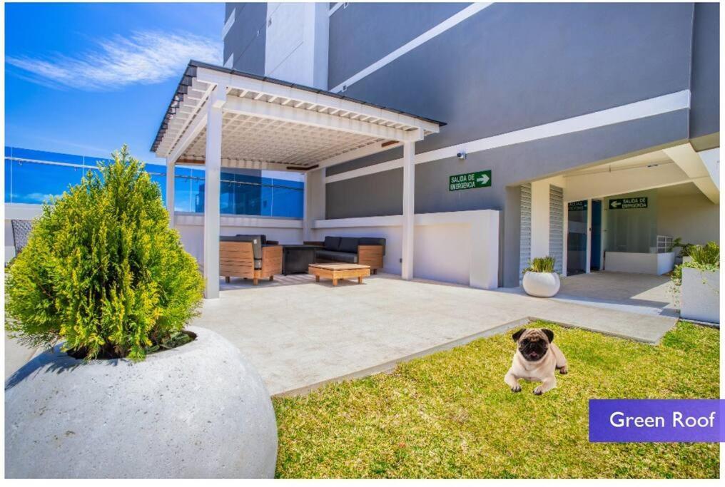 1102 Torre Los Yoses Hermoso Apartamento En Barrio Escalante Sin Parqueo サンホセ エクステリア 写真