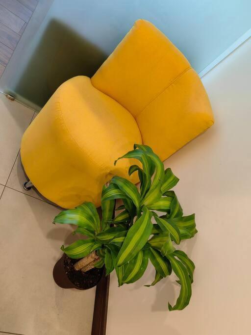 1102 Torre Los Yoses Hermoso Apartamento En Barrio Escalante Sin Parqueo サンホセ エクステリア 写真