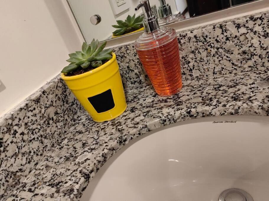 1102 Torre Los Yoses Hermoso Apartamento En Barrio Escalante Sin Parqueo サンホセ エクステリア 写真